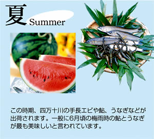 �������ݒn�������s��