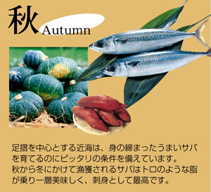 �������ݒn�������s��