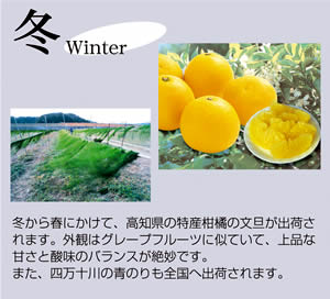 �������ݒn�������s��