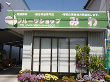 �t���[�c�V���b�v�@�݂�