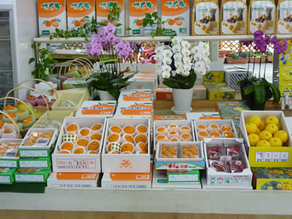 �t���[�c�V���b�v�@�݂�