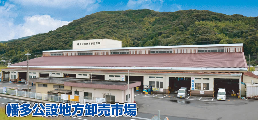 �������ݒn�������s��