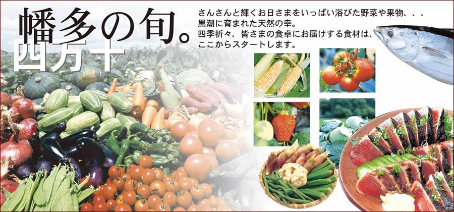 �������ݒn�������s��